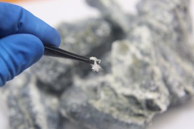 Asbestos Inspection Service in Monmouth County, NJ