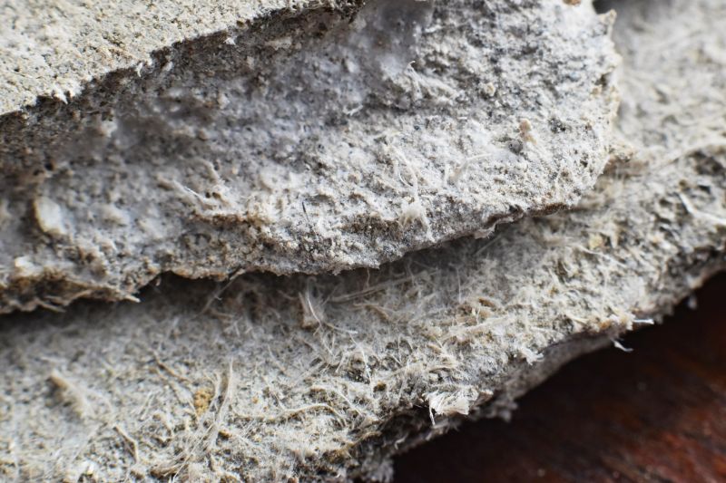 Asbestos Service in Freehold, NJ