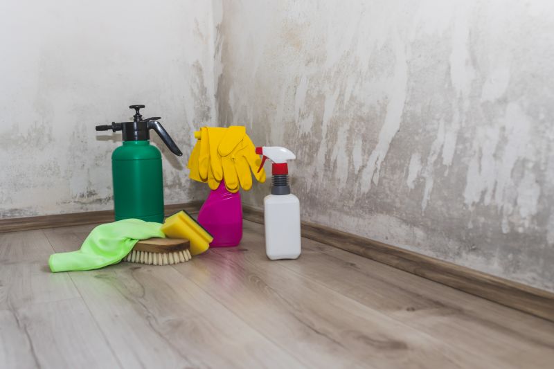 Attic Mold Removal in Jupiter, FL
