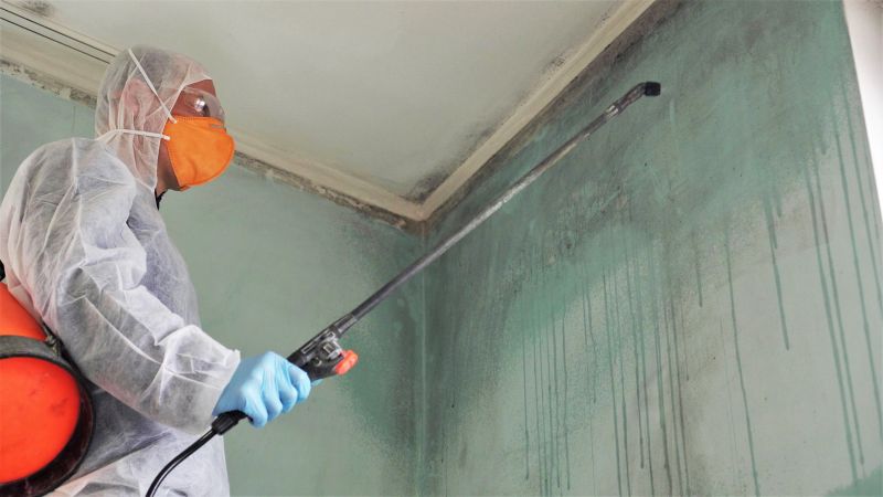 Basement Mold Remediation in Fort Lauderdale, FL
