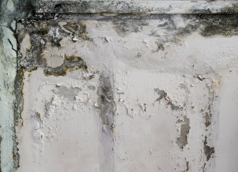 Basement Mold Removal in Essex County, NJ