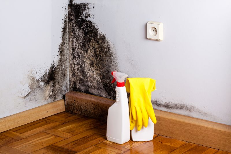 Basement Mold Removal in West Palm Beach, FL
