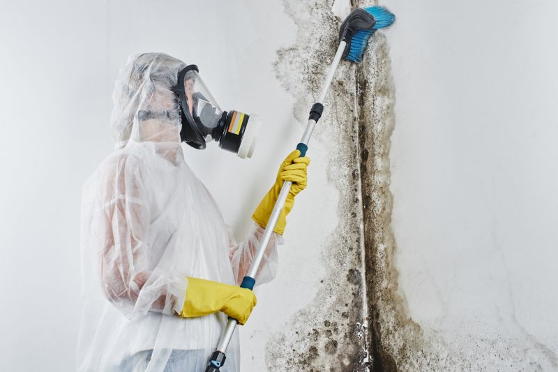 Black Mold Remediation in Essex County, NJ