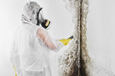 Black Mold Removal in Jupiter, FL