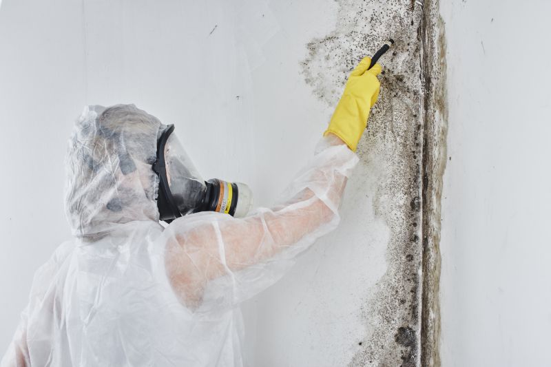 Black Mold Removal in Fort Lauderdale, FL