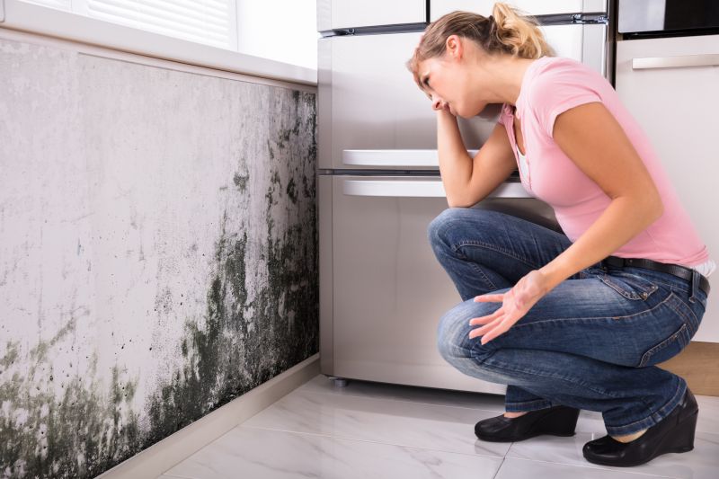 Black Mold Removal in Fort Lauderdale, FL