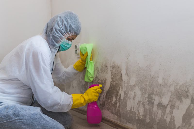 Crawl Space Mold Removal in Fort Lauderdale, FL