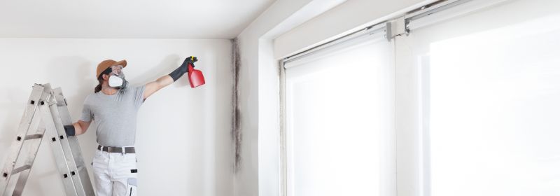 Crawlspace Mold Remediation in Frisco, TX