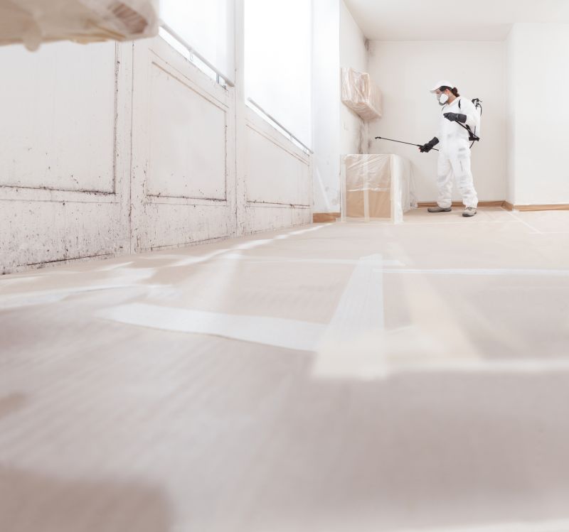 Garage Mold Remediation in Fort Lauderdale, FL