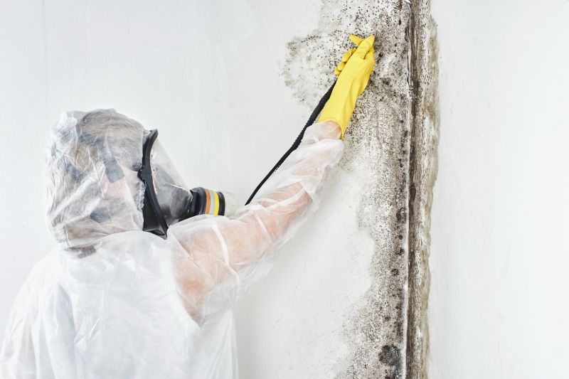 Mold Abatement in Essex County, NJ