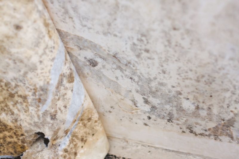 Mold Abatement Service in Essex County, NJ