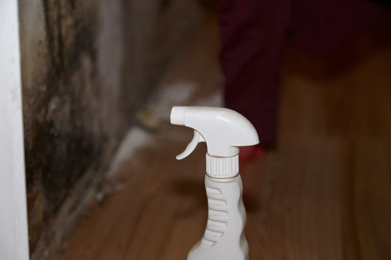 Mold Cleanup Service in Bergen County, NJ