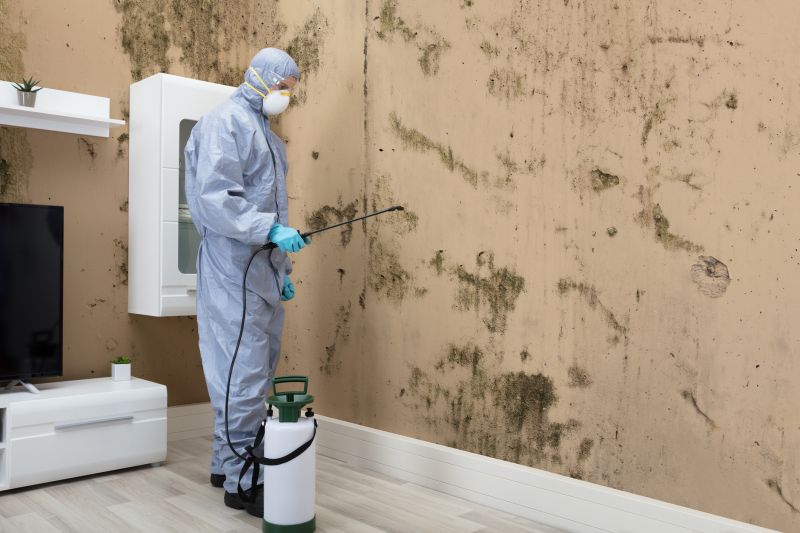 Mold Detection in West Palm Beach, FL