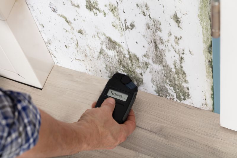 Mold Detection in Arlington, TX