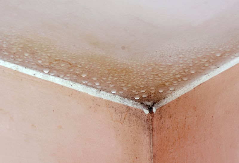 Mold Mitigation Service in Bergen County, NJ