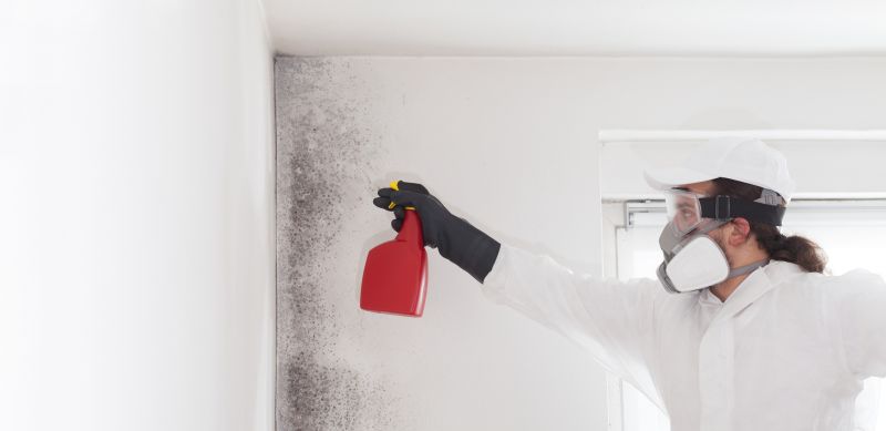 Mold Mitigation Service in Dallas, TX