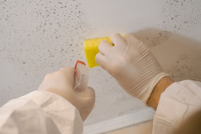 Mold Remediation Service in Boca Raton, FL