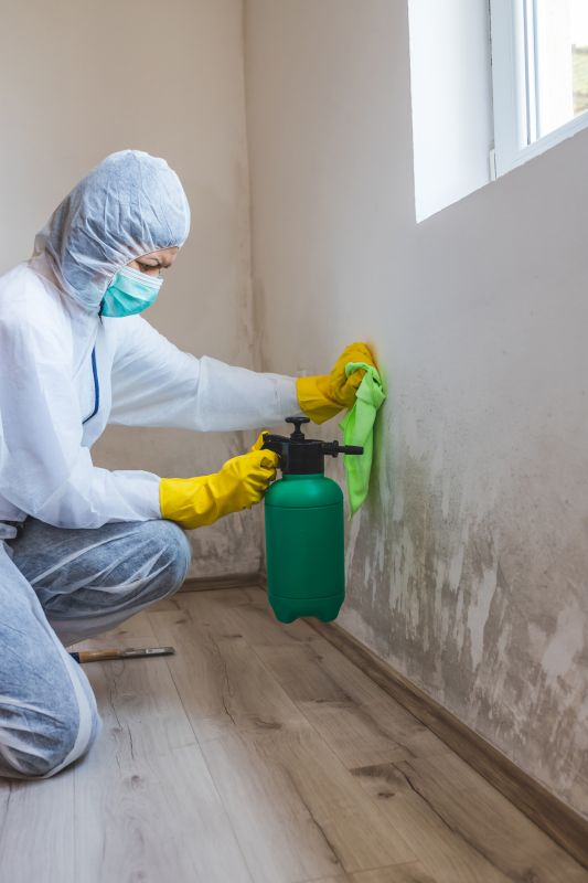 Expert Mold Technician