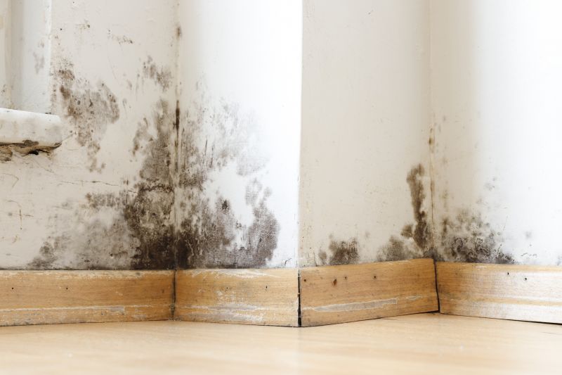 Mold Restoration in West Palm Beach, FL