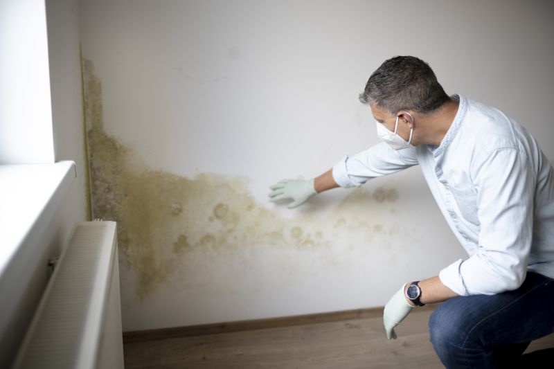 Mold Testing Service
