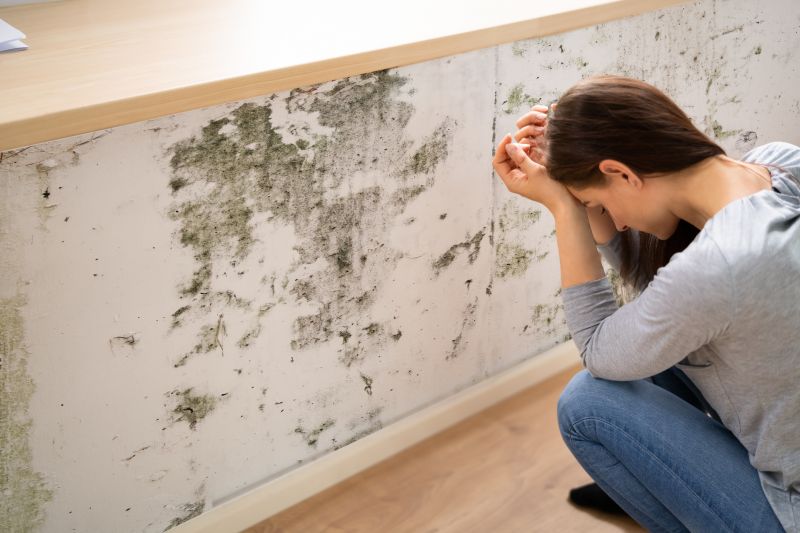 Signs of Mold Growth