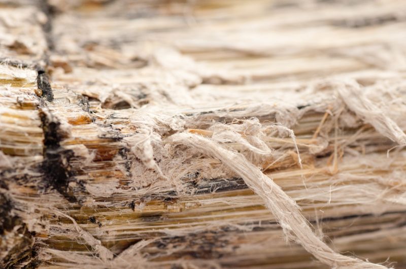Vermiculite Removal Service in Freehold, NJ