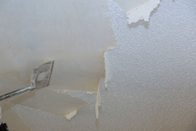 Vermiculite Removal Service in Somerset County, NJ