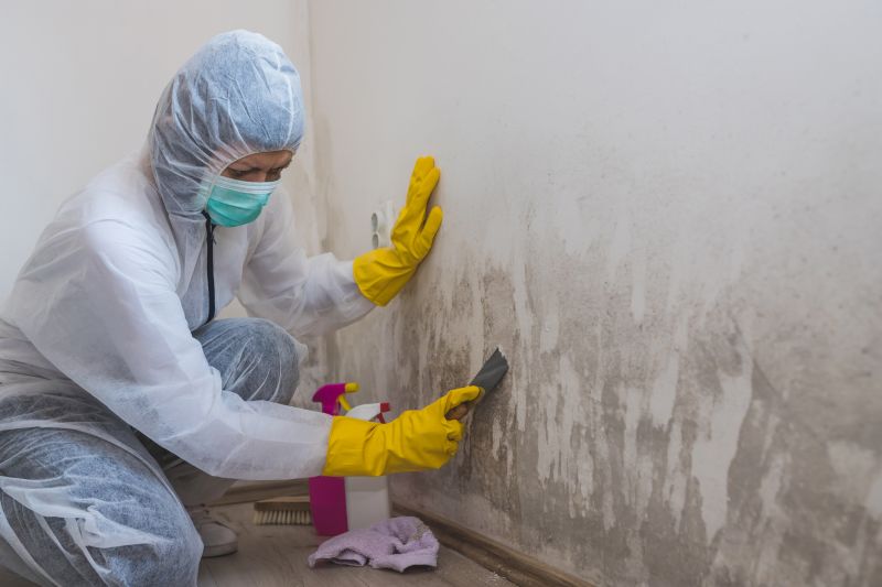 White Mold Mitigation in Frisco, TX