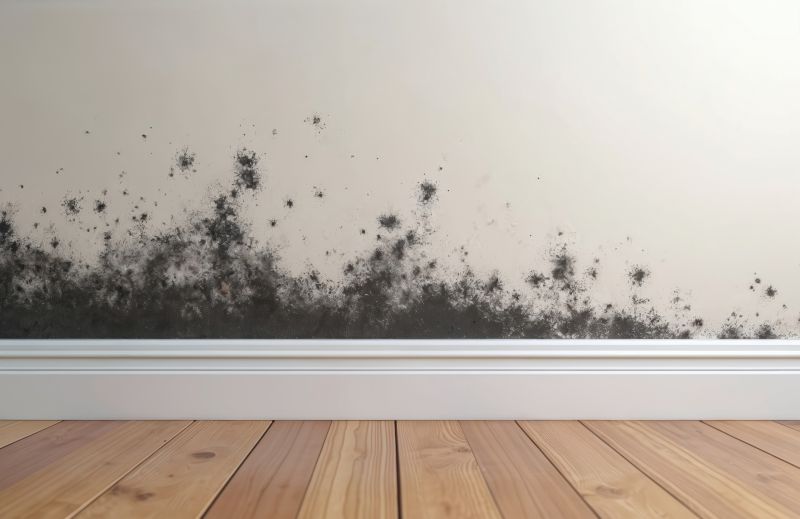 White Mold Mitigation in Jupiter, FL