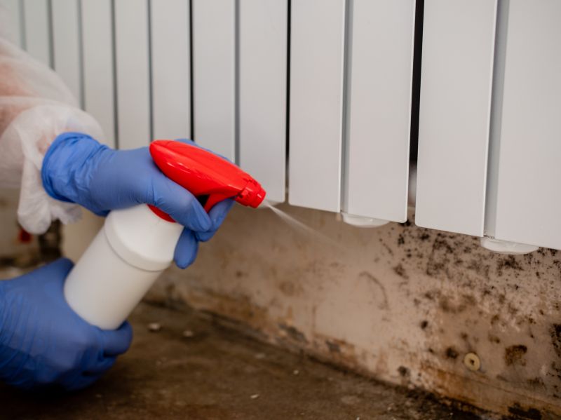 White Mold Mitigation in Jupiter, FL