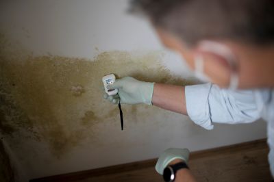 Determine Mold Levels