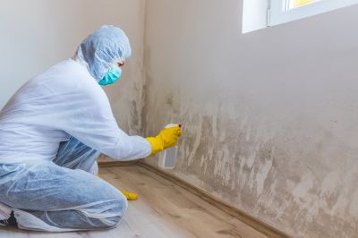 Mold Removal in Dallas, TX